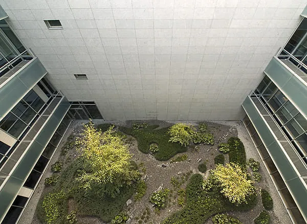 Ajardinamiento de Patios